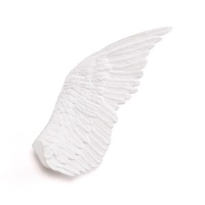 Wings Right Memorabilia Mvsevm
