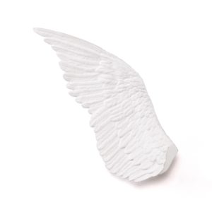 Wings Left Memorabilia Mvsevm
