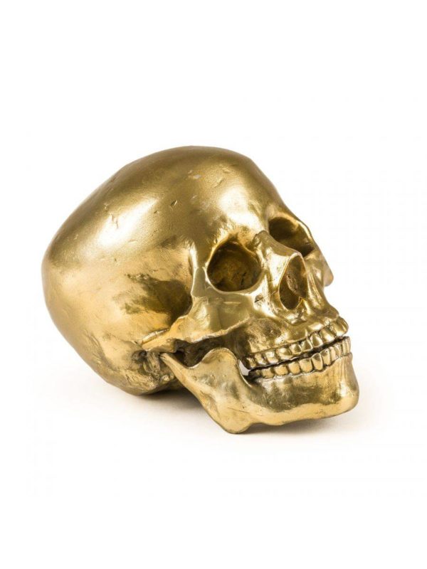 Wunderkammer Human Skull